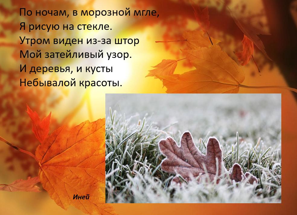 Загадки для явления природы