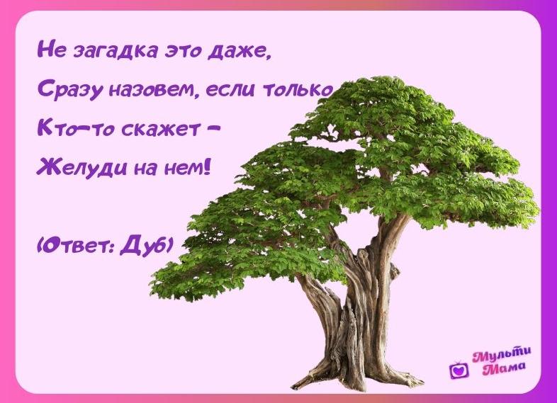 Загадки про лес для детей