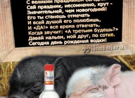 Сценарий Нового года Свиньи в кругу коллег