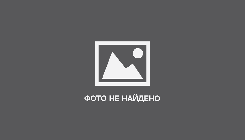 Загадки на Новый Год 2024