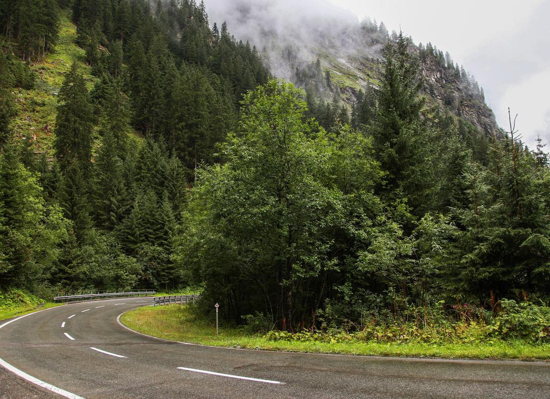 Сценарий отдыха на природе летом
